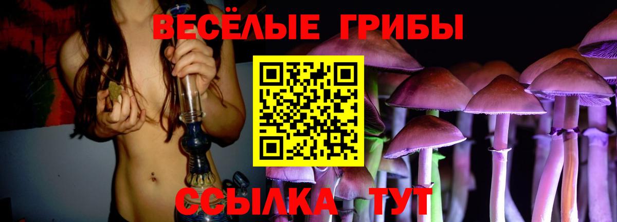 даркнет сайт  Псилоцибиновые грибы GOLDEN TEACHER  Вход с VPN  Геленджик 